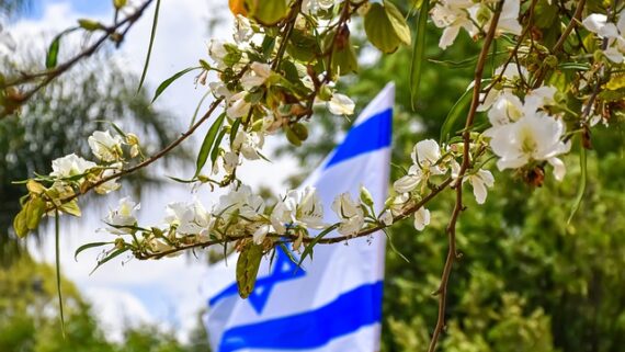 ערבי חג וימי חול המועד